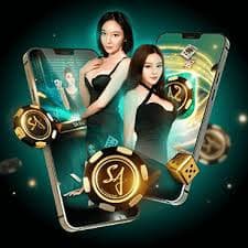 255bet vip 255bet vip